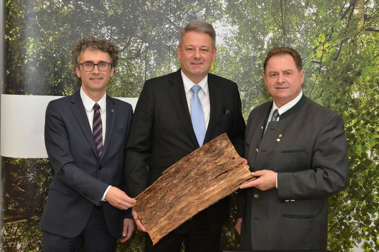 links nach rechts: Peter Mayer, Bundesminister Andrä Rupprechter und Rudi Rosenstatter mit von <span class='term-desc-marker' alt='Borkenkäfer'>Borkenkäfer</span>n gezeichneten Baumrinde.